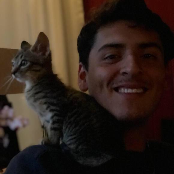 Meet your Posher, Daniel - Picture 1 of 1